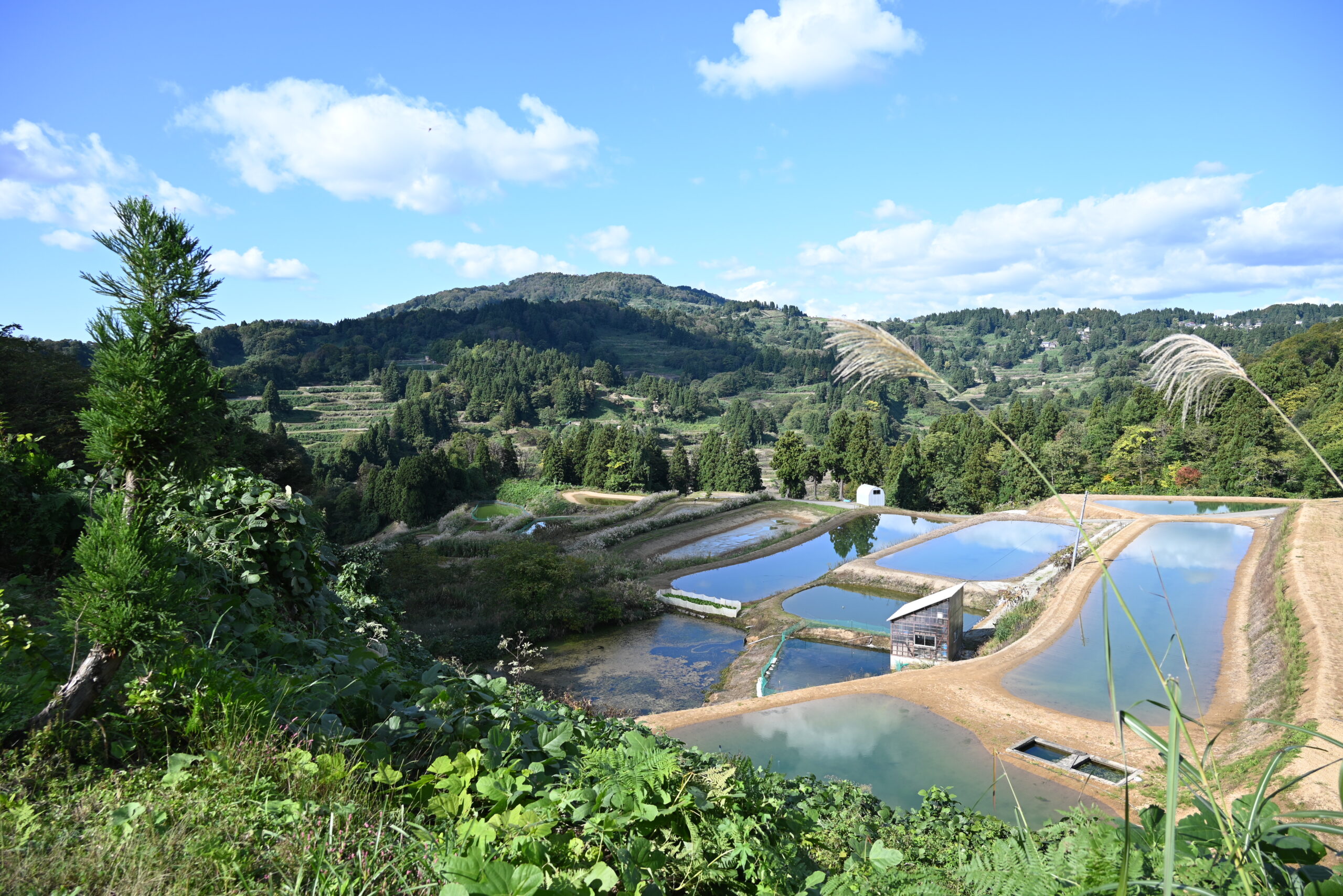 長岡市 山古志地域の風景(長岡市提供)